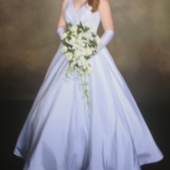 Wedding/Debutante Ball Dress - Picture 2 of 6